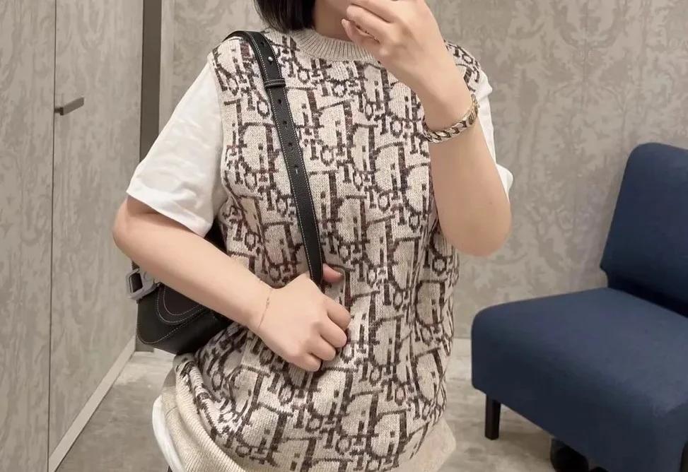 디올 오블리크 슬리브스 스웨터