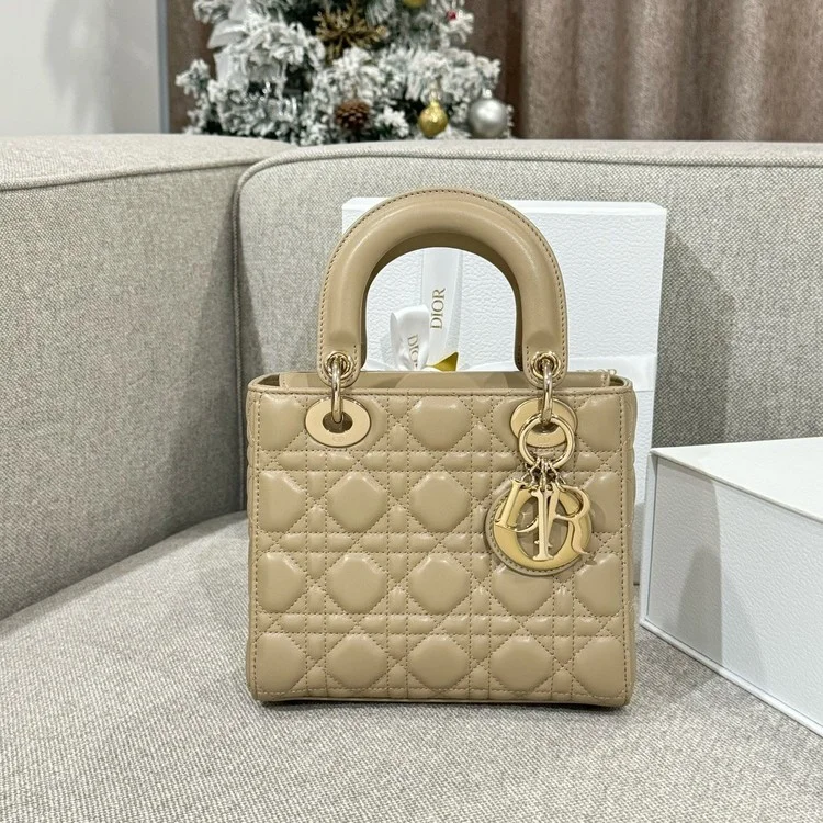 디올 레이디 카나쥬 백 20