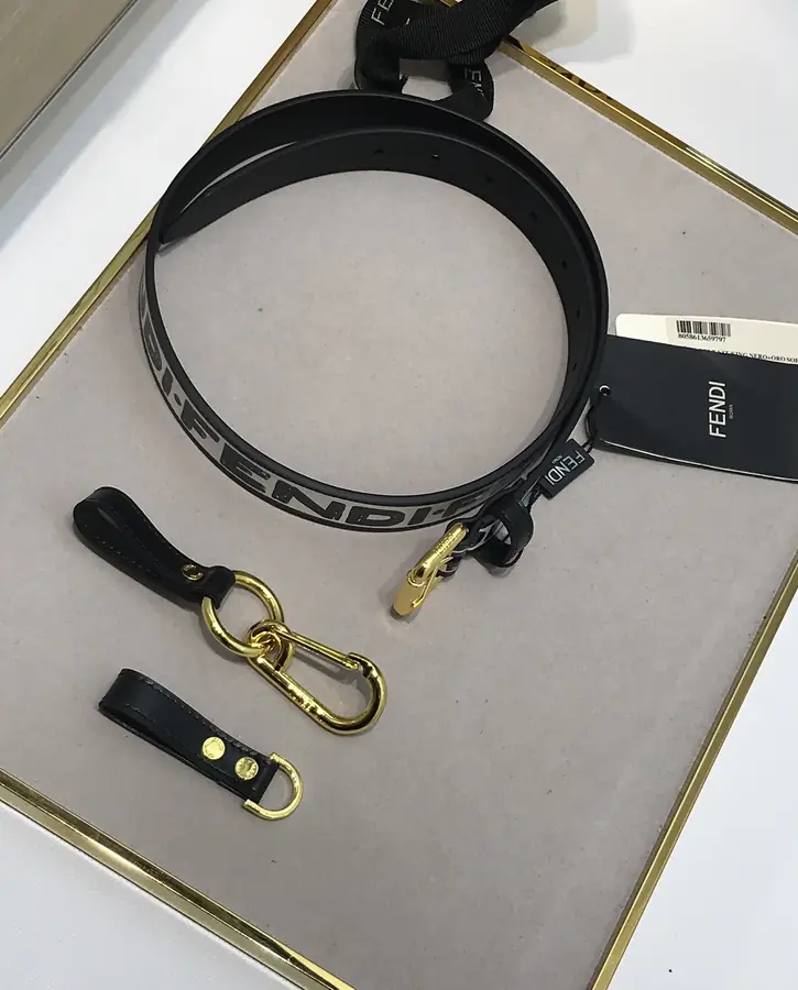 펜디 멀티 액세서리 벨트 30mm