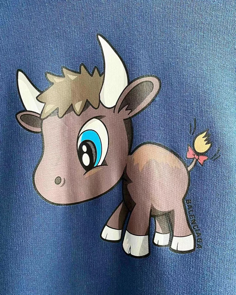 발렌시아가 무스 후디 블루