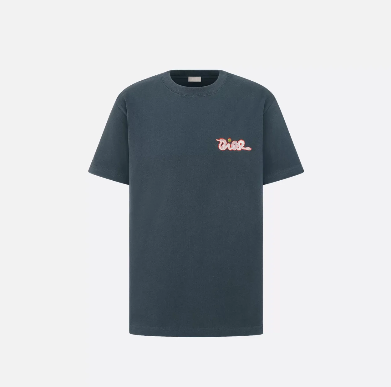 디올 AND KAWS 캐주얼 핏 티셔츠 블루